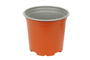 Perkplanten potmaat 10,5 cm Dahlieta Select Party