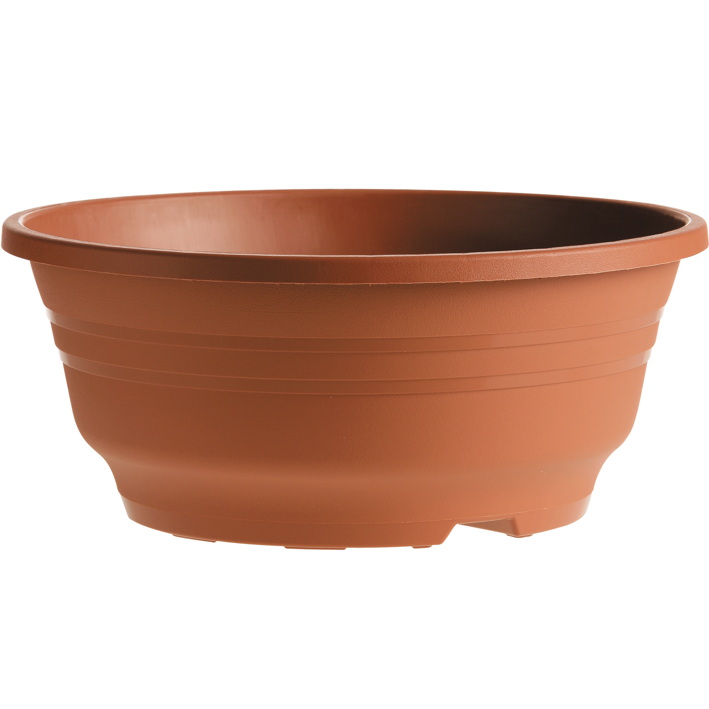 Perkplanten terras schaal 21 cm Dahlieta Select Margareth